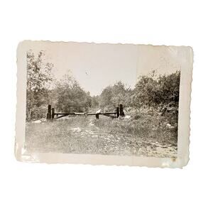Vtg Trail at Itasca State Park Original Monochrome Photo 1946 Found Snapshot